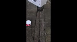 Bins are not placed back into Shute room after rubbish collection day