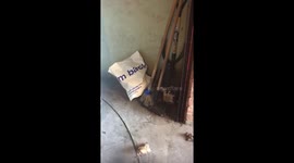 Newham council cleaners & caretakers keeps cleaning materials and tool next to communal rubbish bins inside tower block