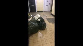 Drove to my daughter’s house to drop off granddaughter came back 30 minutes later to find bags of items dumped outside my front door