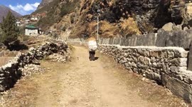 Sherpa woman with her goods in Himalayas. Nepal.