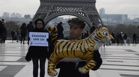 Politicians and animal rights activists attend a Die-in for animal rights and for the tigress Mevy killed after her escape in 2017 from the circus Bormann-Moreno and running in the streets of Paris. 19 november 2018. Eiffel Tower, Trocadero, France.