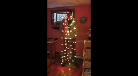 Holidays with NO MONEY use a Human Tree