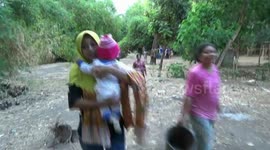 because of pouncing on babies, children, chickens, ducks and goats, wild herds of apes were slaughtered by residents