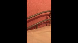 I was first moved on medical grounds, to a home which is riddled with damp and black mould