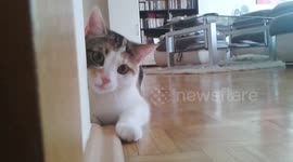 Looking around the corner