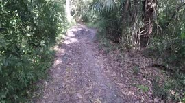 GoPro Trekking through the Jungle