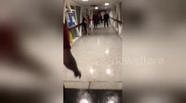 Newsflare Edit - When your mates getting with his ex x https://t.co/UAzHdJ1FbK