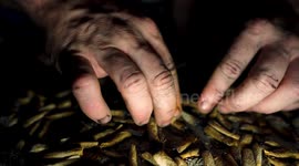 Homeless man sifting through old spent hand rolled cigarettes  hands close up in darkness