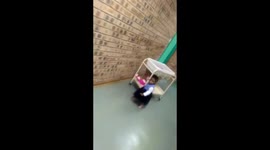 Little girl comes to her 'first day of work' at hospital