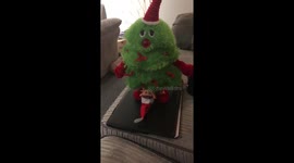 Christmas tree gets elf