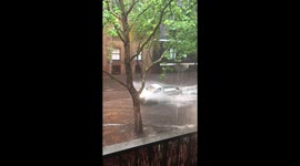Flash flooding in Sydney causes commuter chaos
