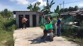 Shocked woman, 20, finds python curled up next to toilet