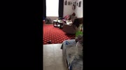 temp