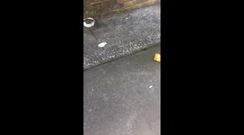 School playground littered with rubbish and junk with bin sitting 5 meters away