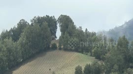 The unan tradition for the 5-year tradition to determine the ancient Javanese calendar tengger mountain bromo tribe