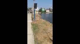 Lake View with breeze