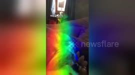 Morning magic: smoke catches light from a prism