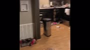 temp