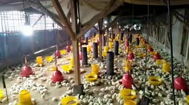 cara Bergabung Dengan Perusahaan / Bermitra