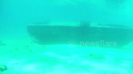 Snorkeling Aruba Shipwreck