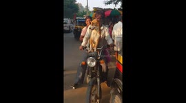 Dog on motorbike in Hampi, India.