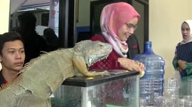 School in Indonesia holds a scary, scaly animal show-and-tell