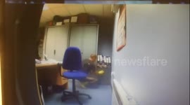 Employee stealing cash from his boss' safe