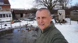 Chicken falls in frozen pond, BEAST FROM THE EAST 2018