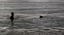 a dog owner in the field practices agility and swims in the sea of ​​the city