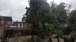Removing branch from tree and losing it in neighbours garden.
