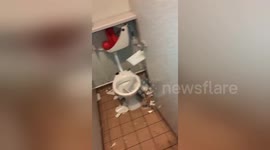 Stoke City fans destroy toilets and windows in rivals' stadium