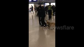 First day on the job and this police dog just want to play!