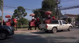 Elephants hold up street traffic in Ayutthaya, Thailand.