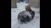temp