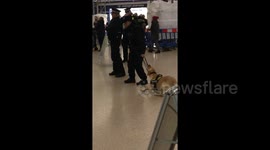 First day on the job and this police dog just wants to play!
