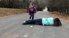 Husky Saves Children From Toy Spider