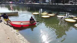 Walking On Giant Victoria Lilies