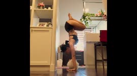 Adorable pomeranian interrupts owner’s yoga routine