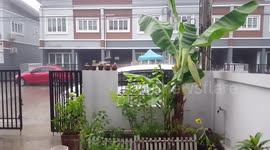 A rainy morning in my tropical garden.