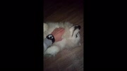 temp