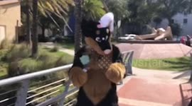 Slow mo furry Shake!