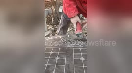 Skilful man uses angle grinder to carve gorgeous art onto stone slab