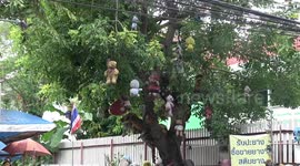 Bizarre selection of cuddly toys hanging from car repair shop for good luck