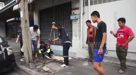 Monitor lizard caught after charging along pavement