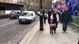 Former cabinet minister Lord Tebbit was stopped by police after 'running over the foot' of a Dutch tourist outside Parliament