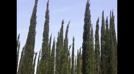 Cultural Monument Saint Nicolas Church in Vanaj, Fier, Albania