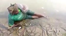 Man sleeps amidst a bunch of snakes to be photographed in India
