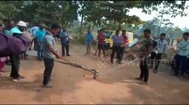 Outcry against amateur snake catchers turning cobra rescue into photo-op