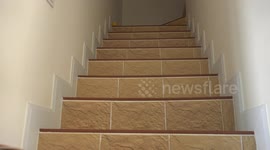 Bouncing balls come hopping down a stairs, then suddenly a monster ball comes crashing into the camera.