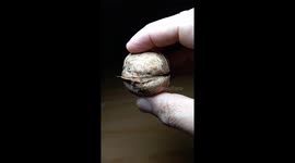 Nacimiento cristiano